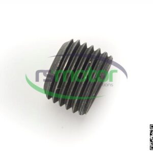 Screw plug Jenbacher RS-101143