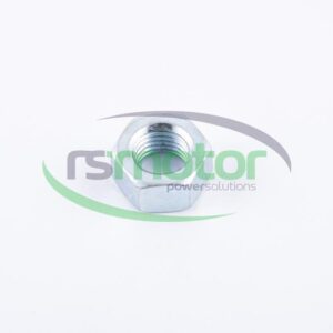 Hexagonal Nut Jenbacher RS-101829