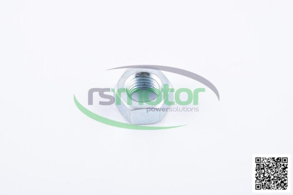 Tuerca Hexagonal Jenbacher RS-101829