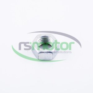 Hexagonal Nut Jenbacher RS-101855