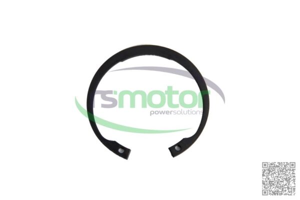 Anillo de bloqueo Jenbacher RS-102312
