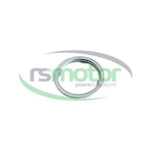 Sealing ring Jenbacher RS-102981