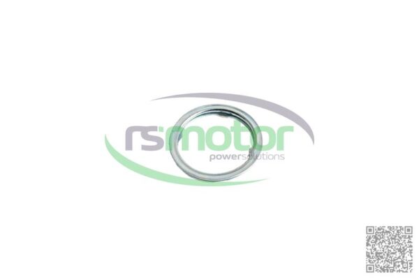 Sealing ring Jenbacher RS-102981