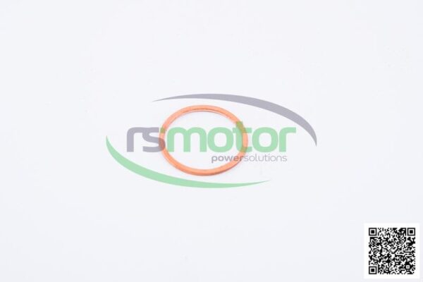 Sealing Ring Jenbacher RS-104069