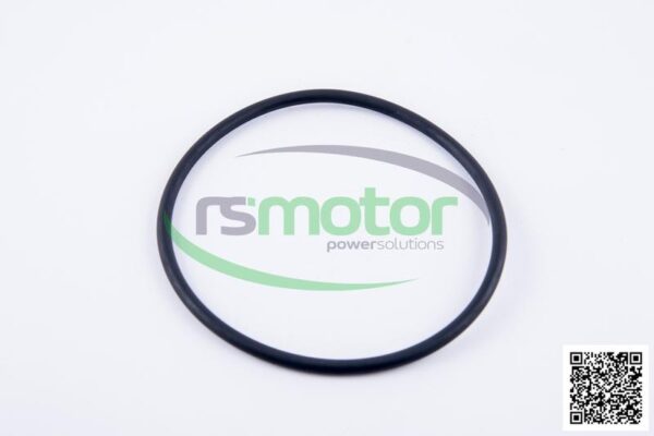 O-Ring Jenbacher RS-105863