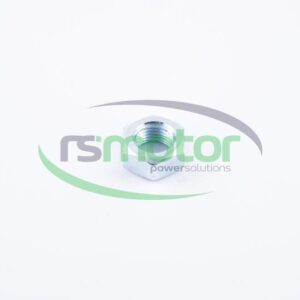 Hexagonal Nut Jenbacher RS-113807