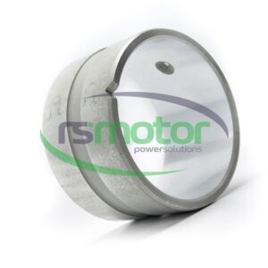 Cojinete MWM RS-12027574