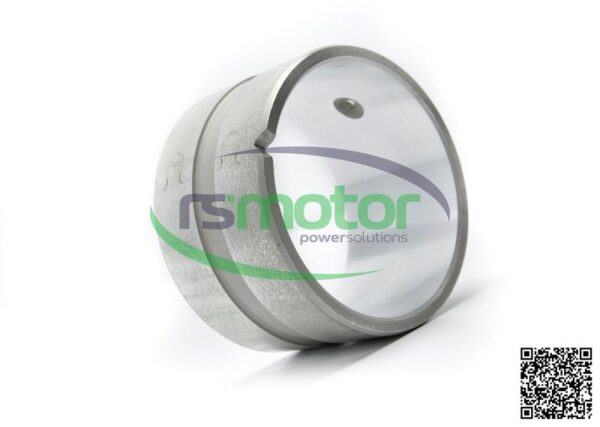 Cojinete MWM RS-12027574