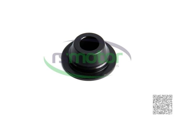 Resorte MWM RS-12028029