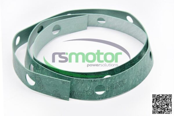 Gasket MWM RS-12028085