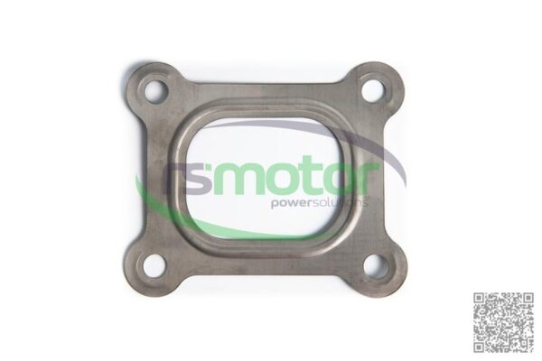 Seal MWM RS-12029621