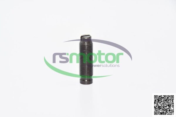 Adjusting screw MWM RS-12030195