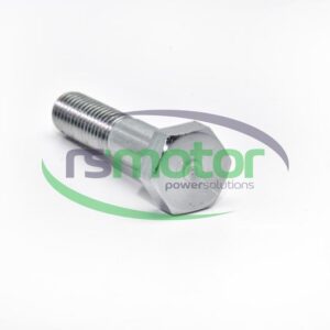 Tornillo / Perno MWM RS-12030750
