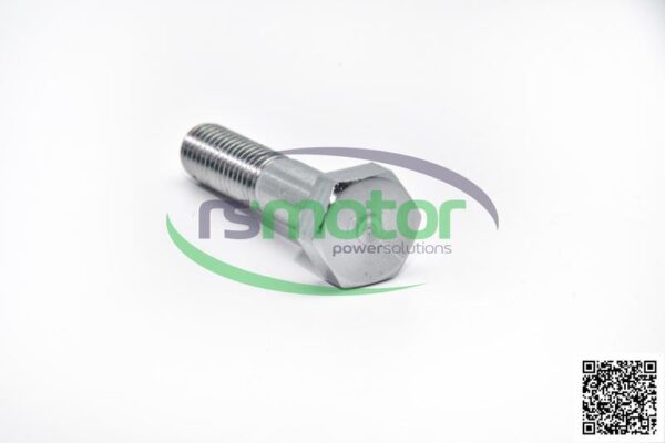 Tornillo / Perno MWM RS-12030750