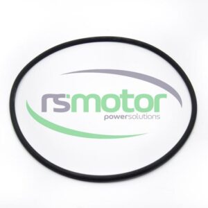 Sealing ring MWM RS-12031817