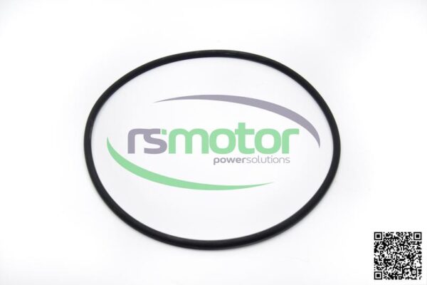 Sealing ring MWM RS-12031817