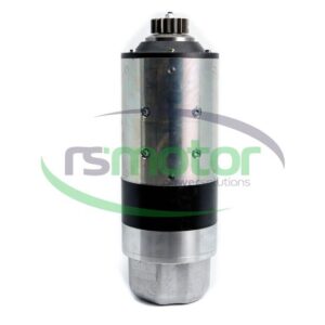 Starter MWM RS-12041402