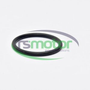 O-Ring MWM RS-12045101
