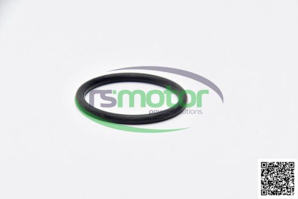 O-Ring MWM RS-12045101