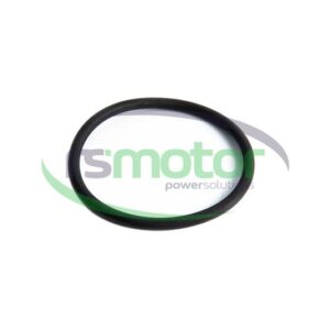 Junta tórica Jenbacher RS-1210832