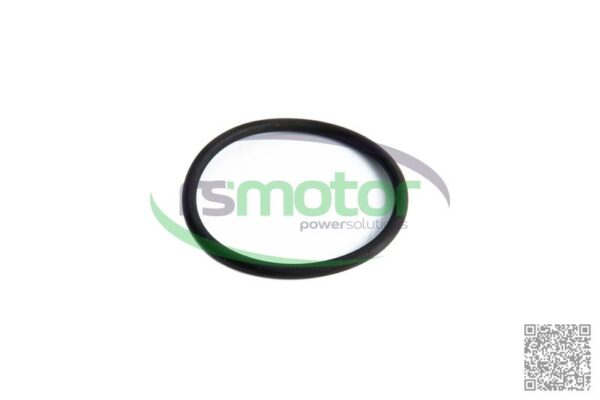 O-ring Jenbacher RS-1210832