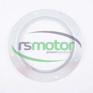 Seal MWM RS-12135387