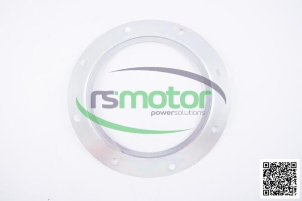 Seal MWM RS-12135387