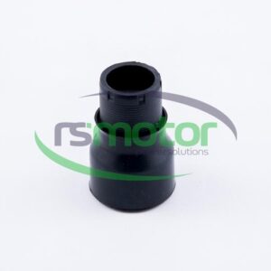 Plug MWM RS-12137453