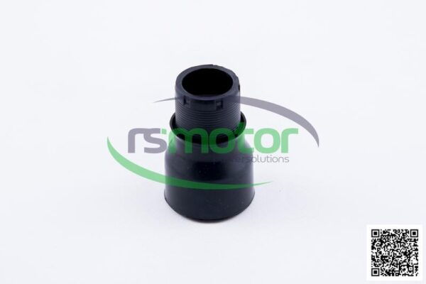 Plug MWM RS-12137453
