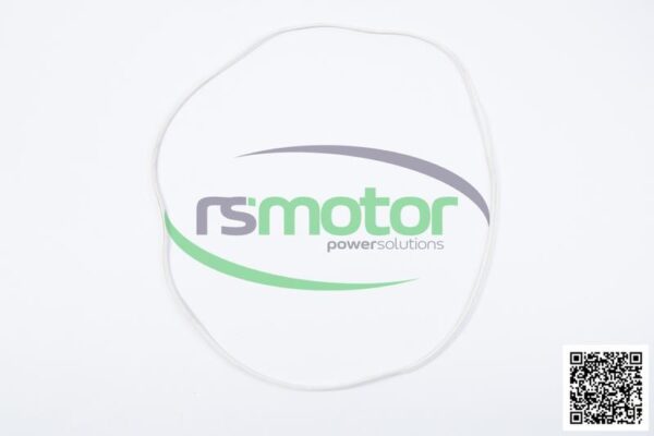 Seal Gasket MWM RS-12142721