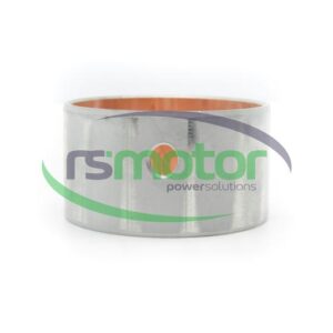 Cojinete MWM RS-12190961