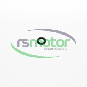 O-ring MWM RS-12211071