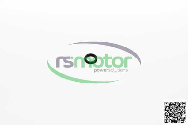 O-ring MWM RS-12211071