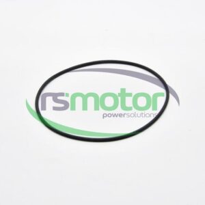 O-ring MWM RS-12211072