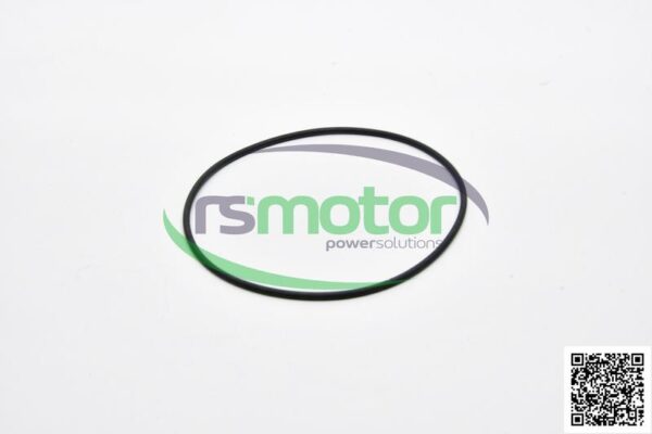 O-ring MWM RS-12211072