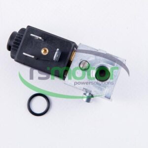 Solenoid Valve MWM RS-12211557