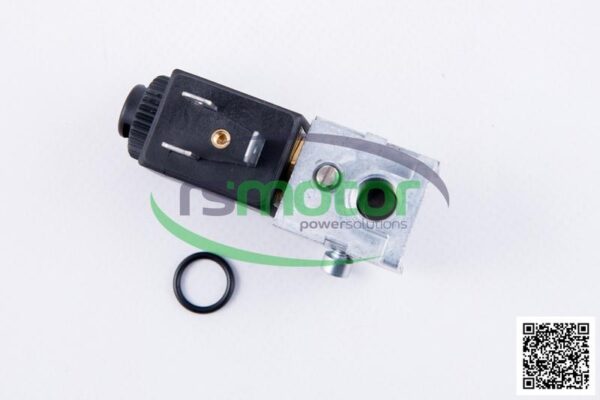 Solenoid Valve MWM RS-12211557