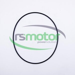 O-ring MWM RS-12211893