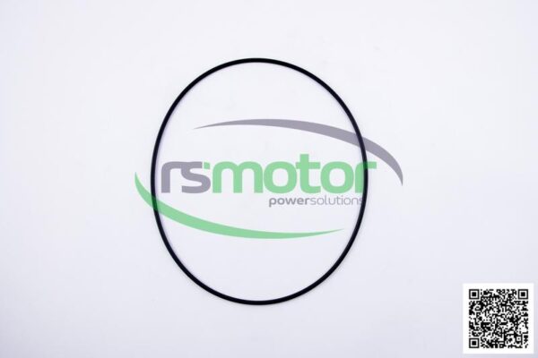 Junta tórica MWM RS-12211893