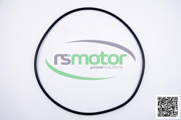 O-ring MWM RS-12217383