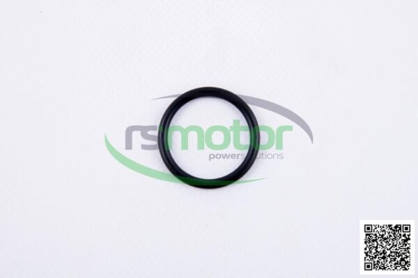 O-ring MWM RS-12217384