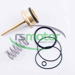 Repair kit MWM RS-12217440