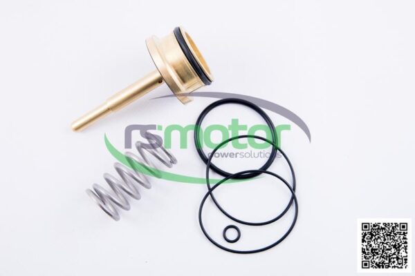 Kit de reparación MWM RS-12217440