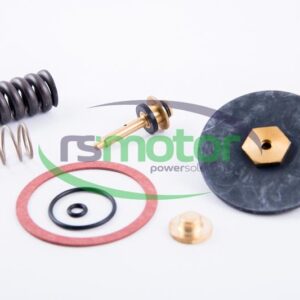 Repair kit MWM RS-12217441