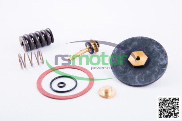 Repair kit MWM RS-12217441