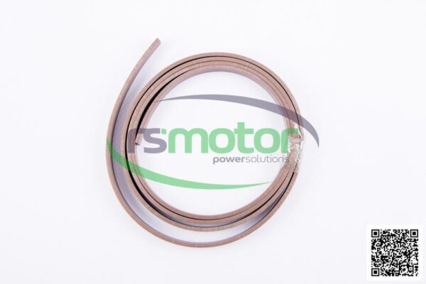 Driving band MWM RS-12217479