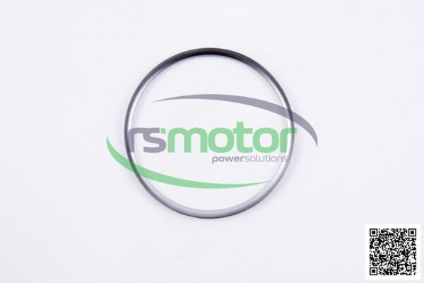 Sealing ring MWM RS-12270150