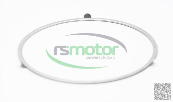 Sealing ring MWM RS-12275302