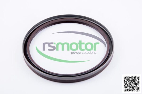 Rotary shaft seal MWM RS-12276256