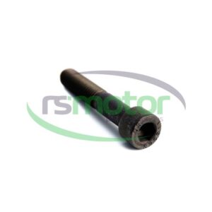 Screw MWM RS-12277744